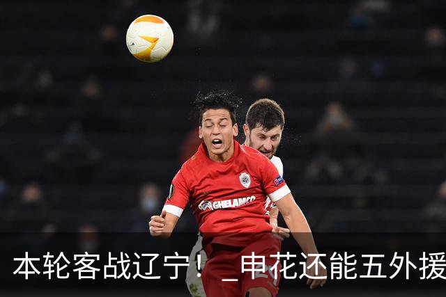 本轮客战辽宁！ 申花还能五外援吗 8月15日主场 包厢外援能清空吗